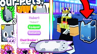 How To Get HUBERT CAT in Pet Simulator X Roblox [upl. by Mihalco657]