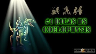 1 DICAS COELOPHYSIS DINO STORM [upl. by Nolaf]