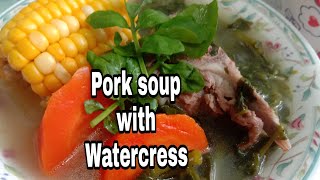 Pork soup with watercress chinese recipe [upl. by Lobiv]