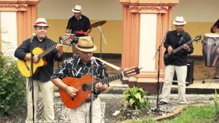 SON ANTILLANO  PICOTEANDO POR AHÍ  MÚSICA TRADICIONAL CUBANA [upl. by Olram885]