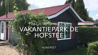 Prachtig chalet op vakantiepark de Hofstee in Nunspeet [upl. by Ravahs]