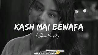 Kash Mai Bewafa hundi🎧😓🖤 SlowReverb slowed sadsong lovesong [upl. by Yregerg]