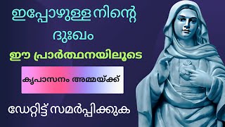 കൃപാസനം അമ്മ നിന്റെ പ്രാർത്ഥന കേൾക്കും 🙏 kripasanam kreupasanam കൃപാസനം [upl. by Brennan599]