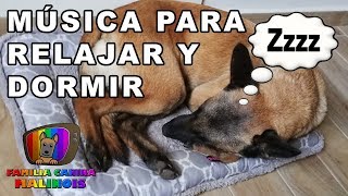 Musica Relajante para Perros 🐶 30 MINUTOS para RELAJAR y DORMIR 💤 a mi PERRO🐶 [upl. by Uwkuhceki600]