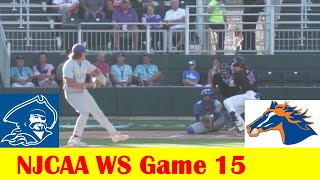 6 Blinn vs 4 Georgia Highlands Baseball Highlights 2024 NJCAA World Series Game 15 [upl. by Ambrosius791]