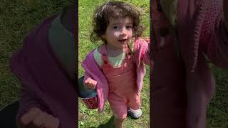 DAISY DAISY GIVE ME YOUR ANSWER DO 8 shorts viral [upl. by Haram]