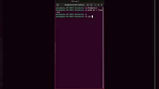 Linux redirect command line output [upl. by Ahsikahs]