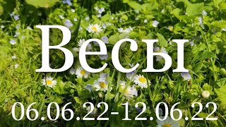 Прогноз с 06 по 12 июня 2022 для представителей знака Весы [upl. by Hayman103]