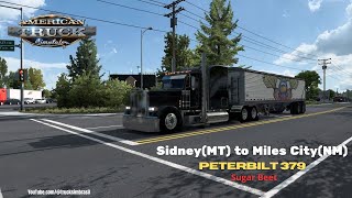 Peterbilt 379  JBX 3 Graphics  PNG American Truck Simulator  ATS 150  Peterbilt [upl. by Eeslehc981]