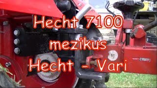 Hecht 7100 mezikus Hecht  Vari [upl. by Iorgo]