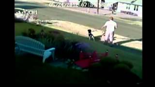 CCTV  Pit Bull attacks 2 dogs on walk caught on tape [upl. by Aliakam508]