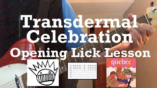 Ween  Transdermal Celebration  Guitar Lesson Intro  Guitar Tab [upl. by Nautna]