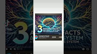 3 Amazing Facts about The Human Nervous System facts fyp trending [upl. by Staford721]