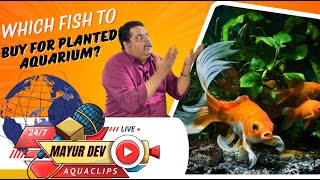 Beginner Tips  Which Fish to Buy for your Planted Aquarium [upl. by Ahgiel606]