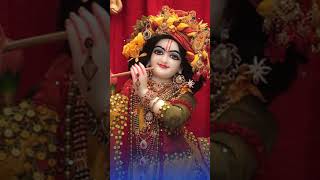 Radha Rani status shorts radharani premanandjimaharaj shreeradhakrishna radheradhe [upl. by Rolyt]