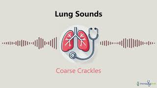 Lung Sounds Coarse Crackles [upl. by Ymassej]