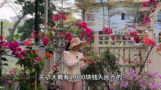 回家就没日没夜的改造花园，大家看看改造完效果如何？ [upl. by Gertruda]