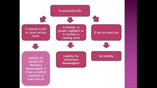 Voluntary Manslaughter [upl. by Tannen]