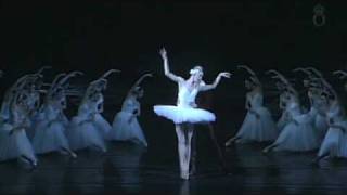 Swan Lake by Tjajkovskij  The Royal Swedish Ballet [upl. by Lativa71]