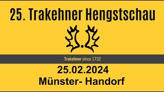 Trakehner Hengstschau 2024 Teil 2 [upl. by Eleets7]