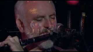 The Chieftains  Matt Molloy Medley [upl. by Nyral]