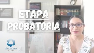 Etapa Probatoria  Díaz Aguirre Abogados Estado de México [upl. by Kohsa]