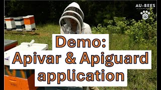 Demo 7 Summer application of Apivar and Apiguard [upl. by Martguerita]