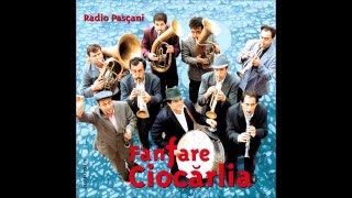 Fanfare Ciocărlia  Mesecina [upl. by Gerdy]