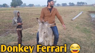 DONKEY RACE  amazing  Pakistan Vlog [upl. by Ruthven]