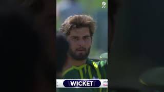 Shaheen Afridi doing what he does best 😎 ytshorts cricket cricketshorts [upl. by Kentigerma]