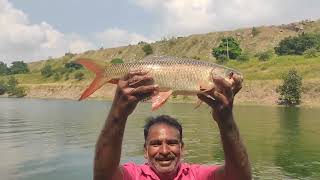 fishing Fishing catching big fish haunting fishing videos [upl. by Eedia]