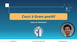 Cocci à Gram positif  Staphylocoques [upl. by Acireed]