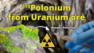 Polonium210 from Uranium Ore  Nuclear Chemistry [upl. by Gulgee281]