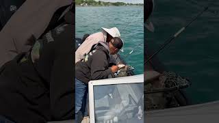 Saint Clair River Walleye fishing [upl. by Iliram]