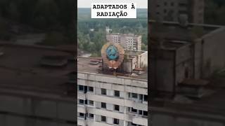 VERMES QUE VIVEM PERTO DE CHERNOBYL DESENVOLVERAM ALGO INESPERADO [upl. by Salguod]