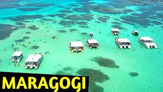 🔴 5 MELHORES PRAIAS de MARAGOGI ALAGOAS DRONE 🌅😎🌴 [upl. by Aime]