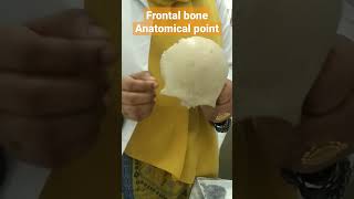 Frontal bone anatomy head ampneck [upl. by Barcroft]