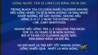 2010 July 22 Tin Tuc Y Khoa Tong Quat  BS Pham Dang Long Co phan 1 [upl. by Weidar]