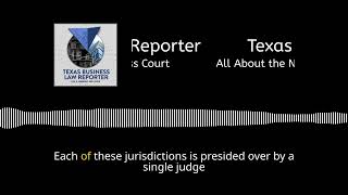 All About the New Texas Business Court [upl. by Llenrad]