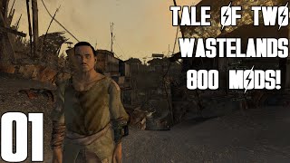 Extreme Fallout 3 amp New Vegas  Wildcard A Tale of Two Wastelands  800 Mods  1 [upl. by Antsirhc]