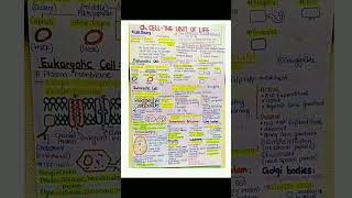 Biology Class 11th 📒 Cell  The Unit Of Life Short Notes for Neet 📚 💯 shorts [upl. by Liauqram]