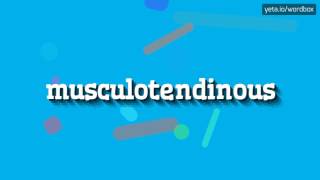 MUSCULOTENDINOUS  HOW TO PRONOUNCE IT [upl. by Sanfo851]