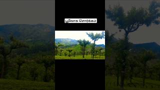 valparai forest estatereels viralvideo viralshorts youtube shortvideoreelincredibleindia [upl. by Erdnua]