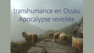 Transhumance en Ossau apocalypse revisitée [upl. by Dnamra]