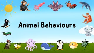 Remember “Waggle Dance”   Animal Behaviour Part2 🦄 upscprelims [upl. by Jael787]