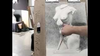 Zimou Tan  Art  Step by step how to draw torso with crosshatching drawing demo [upl. by Revlys]