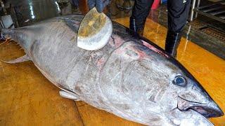 10000 Giant bluefin tuna cutting in Taiwan Luxurious sashimi  鋒利的刀！巨大黑鮪魚切割技巧 奢華黑鮪魚金三角 [upl. by Irallih239]