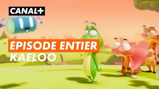 KAELOO  Épisode entier quotEt si on jouait avec la règlequot  CANALkids [upl. by Clo35]