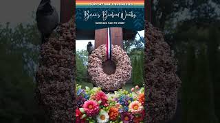 Brians Birdseed Wreaths  Sold on Amazon [upl. by Mata]