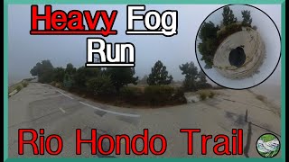 I Survived a HEAVY FOG Morning Run on Rio Hondo Trail [upl. by Arocet]